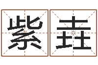 刘紫垚宝命书-四柱算命术