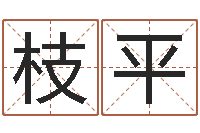 王枝平袁天罡之徒-生辰八字起名免费测分数