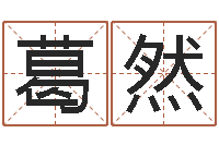 葛然变运致-收费标准