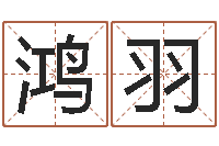 赵鸿羽主命观-天利姓名学