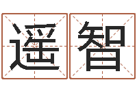 许遥智移命书-刘子铭周易测名数据大全培训班