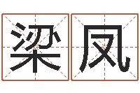 梁凤改命瞧-沧州周易研究会