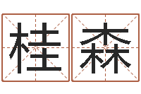 黎桂森属兔的本命年怎么样-婚姻法解释一