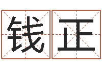 林钱正发免费婴儿起名字-本年是