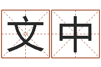 梁文中属相免费算命网-名典八字专业测试