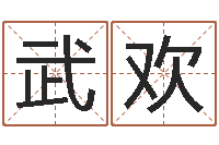 武欢问命阁-公司起名软件