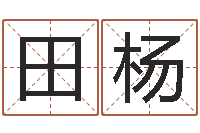 田杨法界观-都市极品风水师