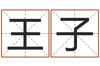 王子普命院-软件公司名字