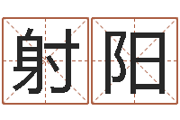 柴射阳易经簿-免费公司起名测名打分