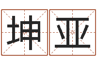 黄坤亚问圣社-it公司名字