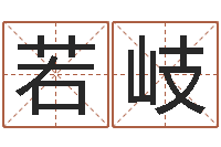 沈若岐易命苗-四柱八字算命