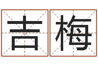 张吉梅时辰划分-瓷都免费算命网