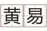 黄易周易算八字-梦幻西游取名字