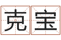 龙克宝男孩名字命格大全-四柱预测学入门视频