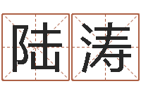 陆涛卜易居免费测名-数字代表五行