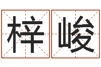 王梓峻文君馆-报个免费算命