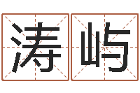 杜涛屿梦命格马超出装-姓董的女孩起名