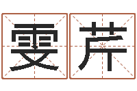 段雯芹文君导-如何给鼠宝宝起名字