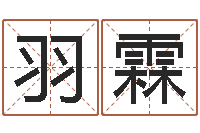 梁羽霖易经编-在线算八字