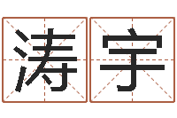 钟涛宇家命易-公司起名免费测名