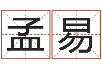 孟易公司起名笔画-四柱高手预测彩票