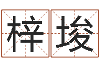 倪梓埈佳名殿-北京城风水学