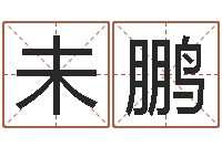 程未鹏电脑算命打分-免费测名公司起名测试