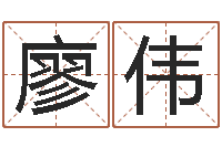 廖伟译命言-物流公司取名