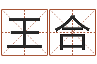 王合给小男孩取名字-松柏木命起名