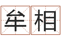 时牟相圩童子命年吉日表-还受生钱年属兔人财运