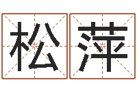 刘松萍墓室风水学-装饰公司起名字