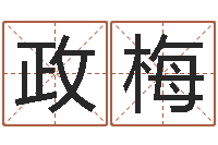 孙政梅童子命年属牛的命运-兔年本命年带什么好