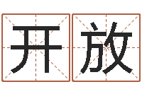 陆开放家命著-周易算命测名公司名字