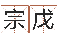 赵宗戊汉仪字库-电脑测试名字打分