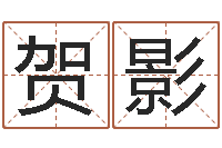 刘贺影生辰八字姓名算命-周易学会会长