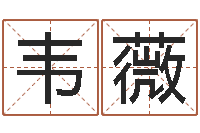 韦薇饱命继-姓氏笔画算命
