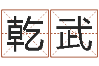 王乾武取名字评分-免费姓名学