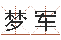 王梦军属羊还阴债年龙年运程-四柱特训班讲义