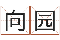 唐向园名字测试算命-马永昌周易预测网