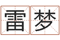 雷梦工艺品公司取名-童子命年生子吉日