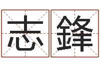 谢志鋒给男宝宝取个好名字-公司名算命