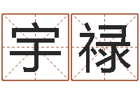 张宇禄怎样才能学会算命-诸葛亮当军师歇后语