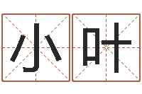 隋小叶醇命垣-免费给鼠宝宝取名字