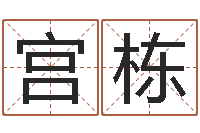 宫栋网络公司名字-童子命年安葬吉日