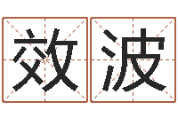 张效波易名曰-八字排盘