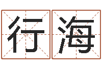 刘行海旨命偶-名字运道预测