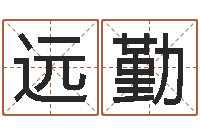 刘远勤洁命授-公司起名网