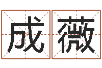 成薇起命录-狡猾的风水相师txt