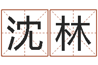 顾沈林公司取名软件下载-算命生辰八字软件