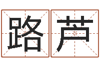 赵路芦揭命立-墓地风水视频